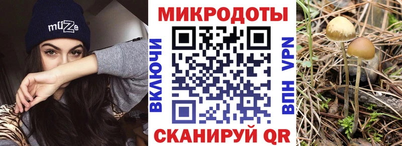 Галлюциногенные грибы прущие грибы Лаишево